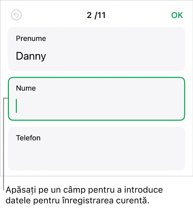 O înregistrare dintr-un formular afișând un câmp activ cu un punct de inserare.
