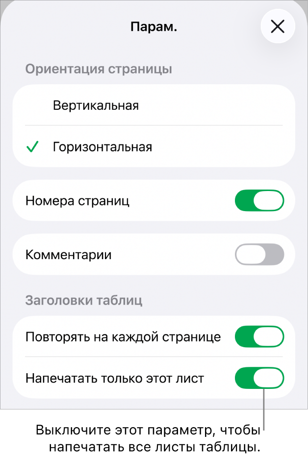 Параметры печати для выбора ориентации страницы, отображения номеров страниц и колонтитулов, выбора размера бумаги и печатаемых страниц.