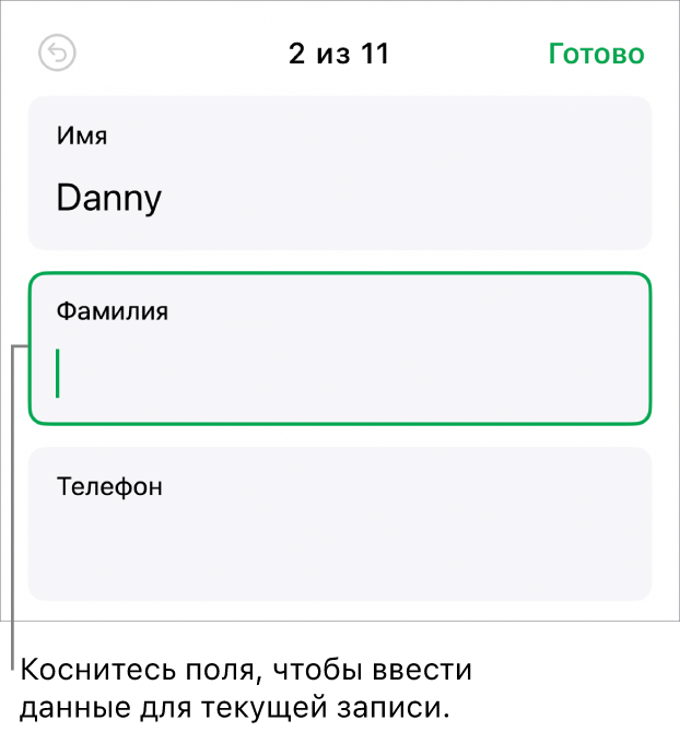 Показана запись в форме. В активном поле находится точка вставки.