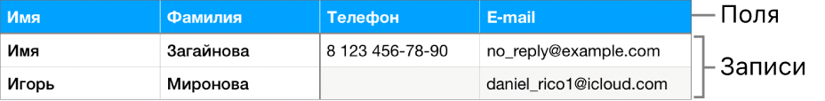 Таблица, подготовленная для работы с формами: таблица содержит строку заголовков с подписями полей, а также список записей с контактной информацией участников спортивной команды.