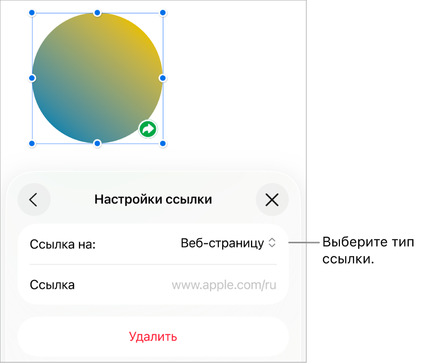 Элементы управления «Настройки ссылки»; выбран элемент «Веб-страница». В нижней части экрана показана кнопка «Удалить».