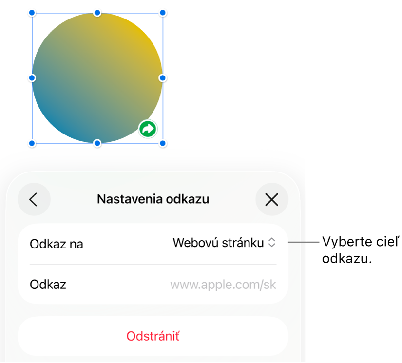 Ovládacie prvky nastavení odkazov s vybranou položkou Webová stránka a tlačidlom Odstrániť v dolnej časti.
