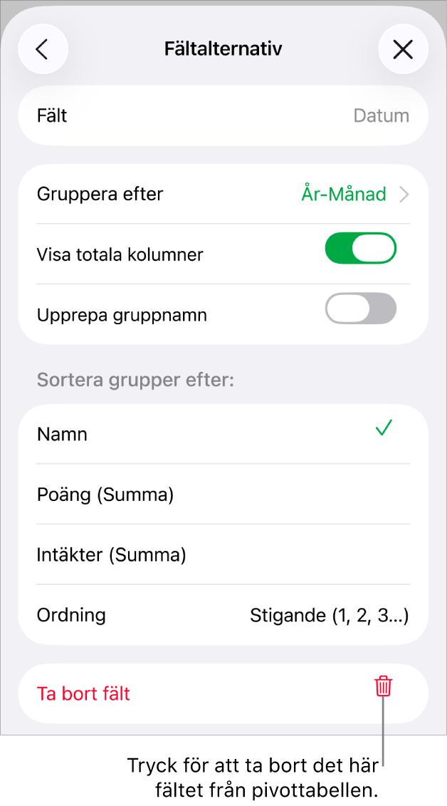 Menyn Fältalternativ visar reglage för att gruppera och sortera data samt alternativet att ta bort ett fält.