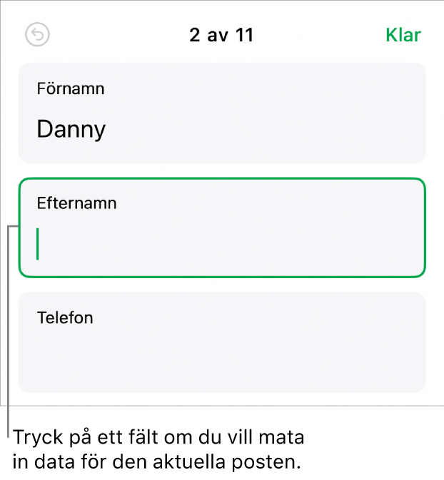 En post i ett formulär som visar ett aktivt fält med en insättningspunkt.