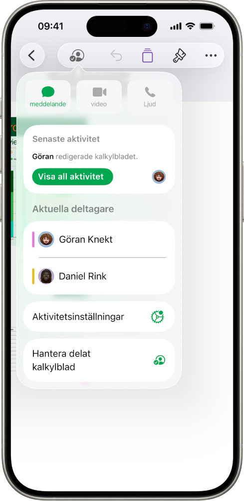 Samarbetsmenyn med namnen på de personer som samarbetar på ett kalkylblad.