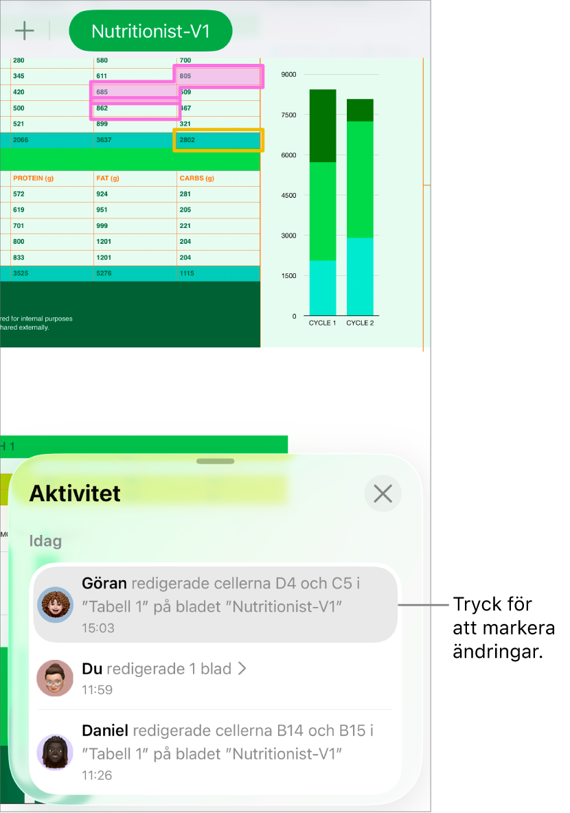 Ett samarbetskalkylblad med både samarbetsmenyn och aktivitetslistan öppna.