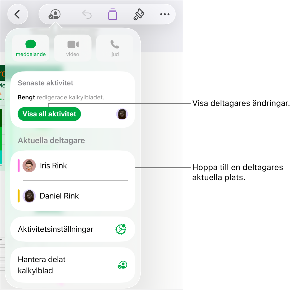 Samarbetsmenyn med aktuella deltagare listade.