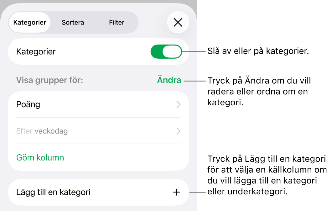 Menyn Kategorier för iPhone med alternativ för att slå av kategorier, radera kategorier, gruppera om data, gömma en källkolumn och lägga till kategorier.