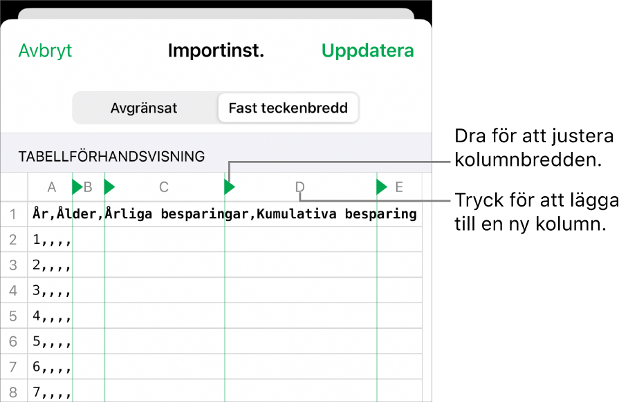 Importinställningar för en textfil med fast teckenbredd.