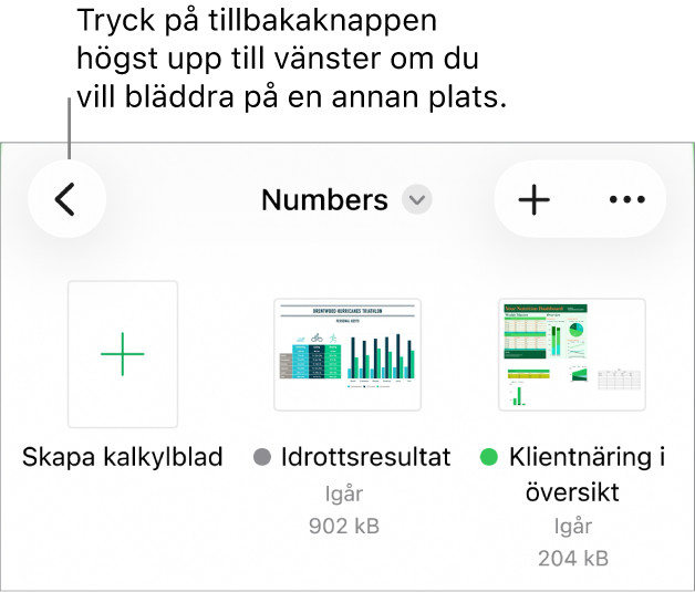 Bläddringsvyn i dokumenthanteraren tillbakaknappen i det övre vänstra hörnet och ett sökfält under den. Under sökfältet finns knappen för att skapa kalkylblad bredvid miniatyrer av befintliga kalkylblad. I det övre högra hörnet finns knappen för att lägga till och merknappen.