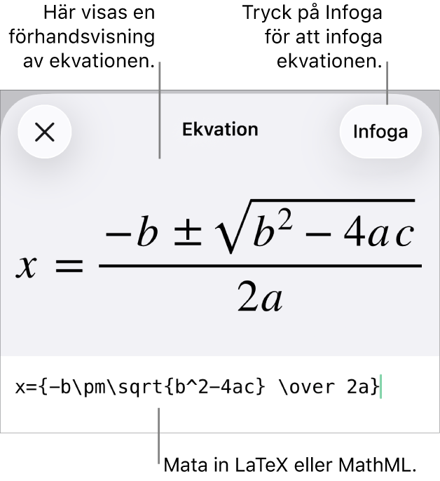Dialogrutan Ekvation visar en ekvation som skrivits med MathML-kommandon och en förhandsvisning av formeln ovanför den.
