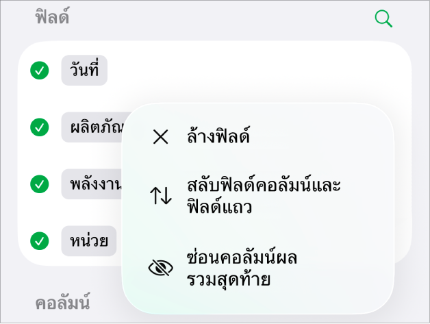 เมนูตัวเลือกฟิลด์เพิ่มเติม ที่แสดงตัวควบคุมสำหรับซ่อนผลรวมสุดท้าย สลับฟิลด์คอลัมน์และฟิลด์แถว และล้างฟิลด์