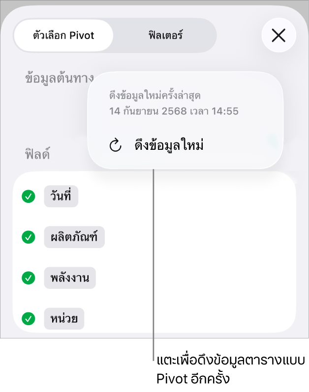 เมนูตัวเลือก Pivot ที่แสดงตัวเลือกสำหรับดึงข้อมูลตารางแบบ Pivot ใหม่