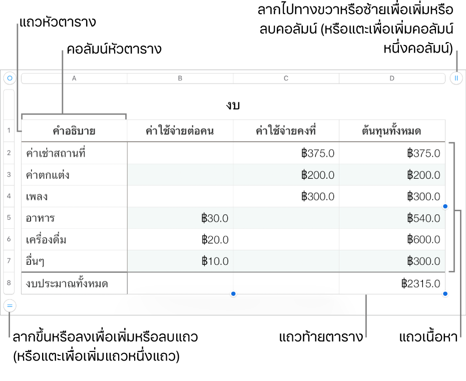 ตารางที่แสดงแถวและคอลัมน์หัวตาราง ตัวตาราง และท้ายตาราง และขอบจับเพื่อเพิ่มหรือลบแถวหรือคอลัมน์