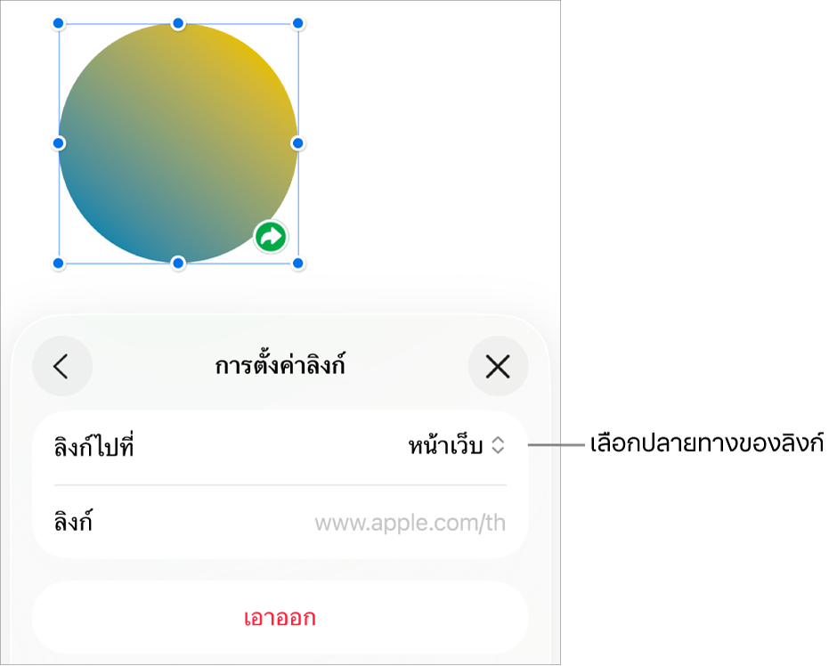 ตัวควบคุมการตั้งค่าลิงก์ที่มีหน้าเว็บถูกเลือกอยู่ และปุ่มเอาออกที่ด้านล่างสุด