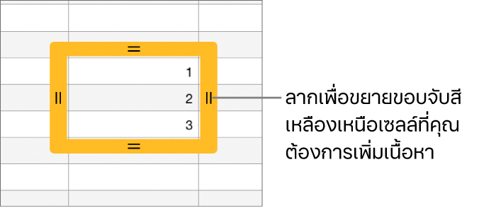 เซลล์ที่เลือกอยู่ที่มีเส้นขอบสีเหลืองขนาดใหญ่ ซึ่งคุณสามารถลากเพื่อป้อนเซลล์อัตโนมัติได้
