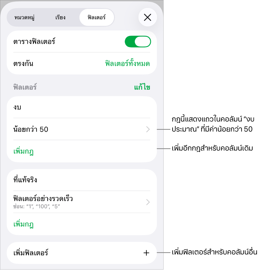 การควบคุมสำหรับเพิ่มกฎการฟิลเตอร์ใหม่หรือการแก้ไขกฎที่มีอยู่แล้ว