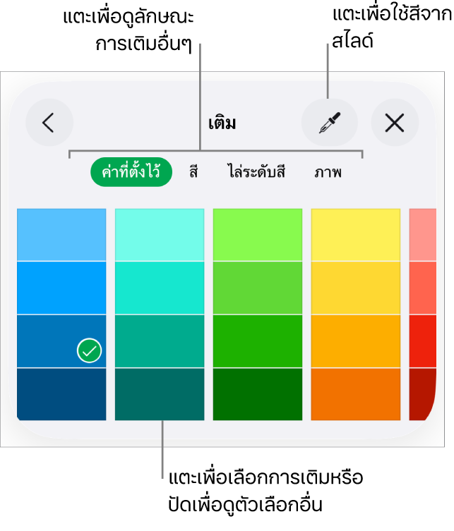 ตัวเลือกการเติมในแถบลักษณะของปุ่มรูปแบบ