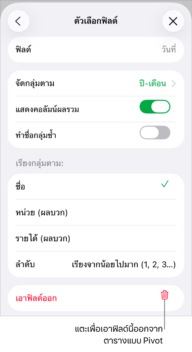 เมนูตัวเลือกฟิลด์ ที่แสดงตัวควบคุมสำหรับการจัดกลุ่มและการเรียงข้อมูล รวมถึงตัวเลือกในการเอาฟิลด์ออก