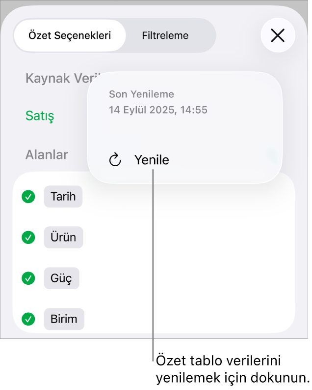 Özet tabloyu yenileme seçeneğini gösteren Özet Seçenekleri menüsü.