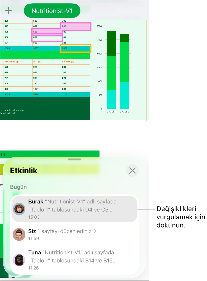Ortak çalışılan hesap tablosunda ortak çalışma menüsü ile etkinlik listesinin her ikisi de açık.
