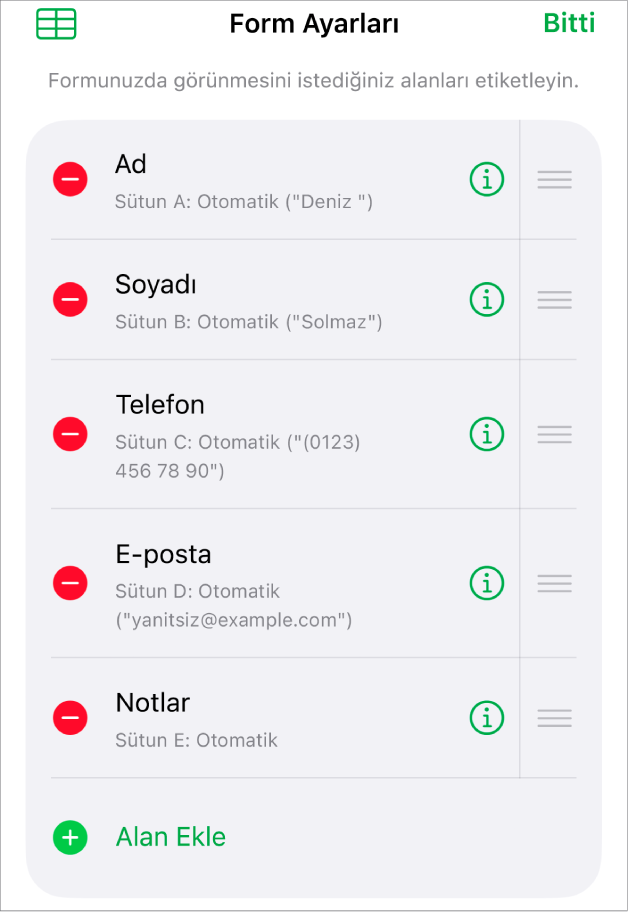 Alanları ekleme, düzenleme, yeniden sıralama, silme ve alanların biçimini değiştirme (örneğin Metin’den Yüzde’ye) seçeneklerini gösteren form ayarı denetimleri.