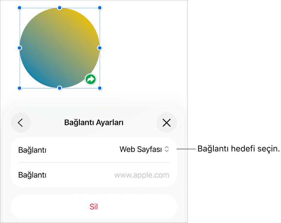 Bağlantı Ayarları denetimlerinde Web Sayfası seçili, en altta ise Sil düğmesi bulunuyor.