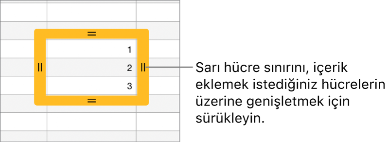 Hücreleri otomatik doldurmak için sürükleyebileceğiniz büyük sarı sınırlı seçili bir hücre.