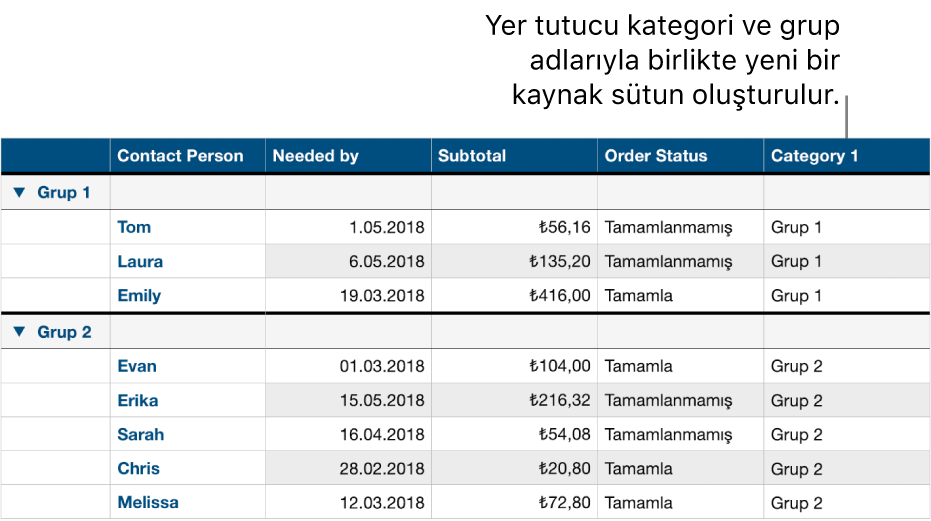 Kategori ve gruplar için yer tutucu adların kullanıldığı, kategoriye ayrılmış bir tablo.