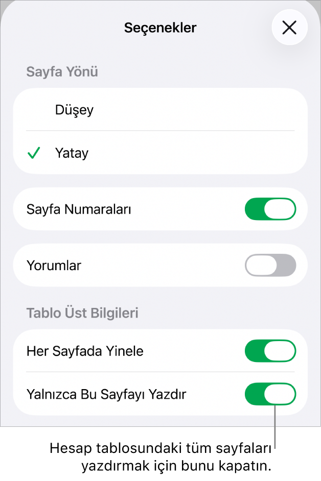 Sayfa yönünü seçme, sayfa numaralarını ve üst bilgilerini gösterme, sayfa boyutu ve hangi sayfaların yazdırılacağını seçmeye yönelik yazdırma seçenekleri.