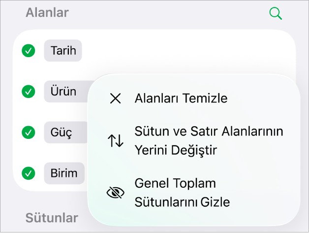 Genel toplamları gizleme, sütun ve satır alanlarını yer değiştirme ve alanları temizleme denetimlerini gösteren Daha Fazla Alan Seçeneği menüsü.