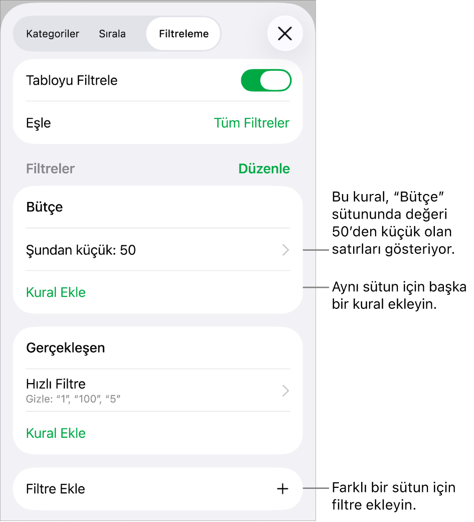 Yeni filtreleme kuralları ekleme veya var olanları düzenleme denetimleri.
