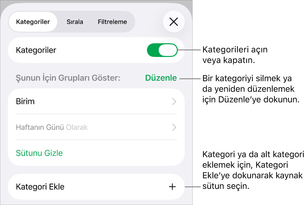 Kategorileri kapatma, kategorileri silme, verileri yeniden gruplama, kaynak sütunu gizleme ve kategori ekleme seçeneklerini içeren, iPhone için Kategoriler menüsü.