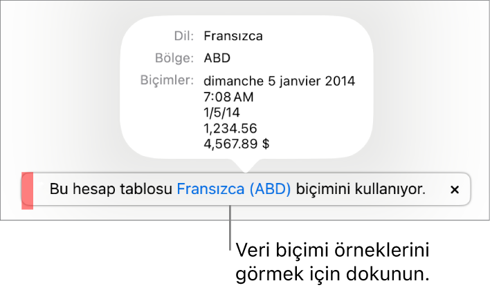 O dil ve bölgede kullanılan biçimlendirme örneklerini gösteren, farklı dil ve bölge ayarı bildirimi.