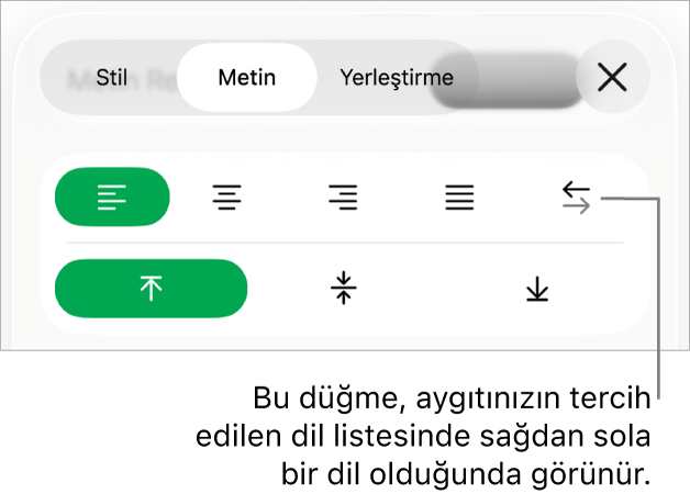Sağdan Sola düğmelerini bir belirtme çizgisiyle gösteren Biçim menüsünün Stil bölümü.