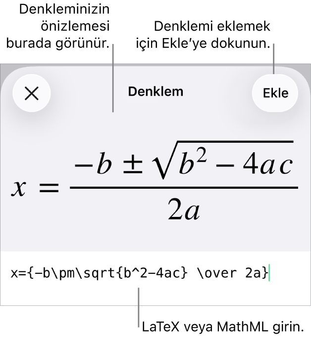 MathML komutları kullanılarak yazılmış bir denklemi ve onun üstünde formülün önizlemesini gösteren Denklem sorgu kutusu.