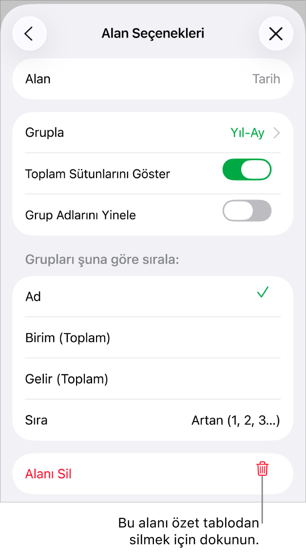 Verileri gruplama ve sıralama denetimleri ile alan silme seçeneğini gösteren Alan Seçenekleri menüsü.
