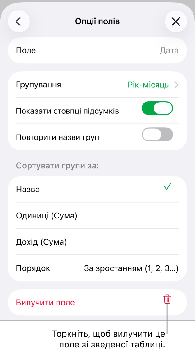 Меню «Опції полів» з елементами керування для групування і сортування даних і з опцією для вилучення поля.
