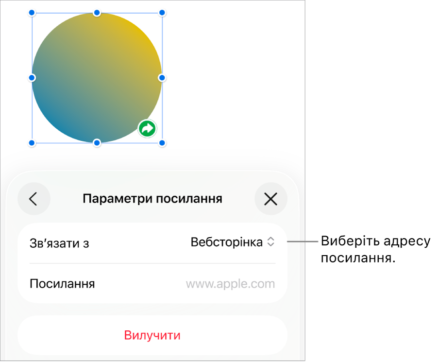 Елементи керування параметрами посилань із вибраною вебсторінкою та кнопкою «Вилучити» внизу.