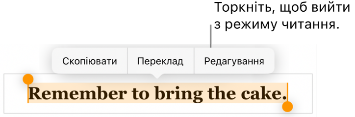 Вибрано речення, зверху є контекстне меню з кнопками «Скопіювати» й «Редагувати».