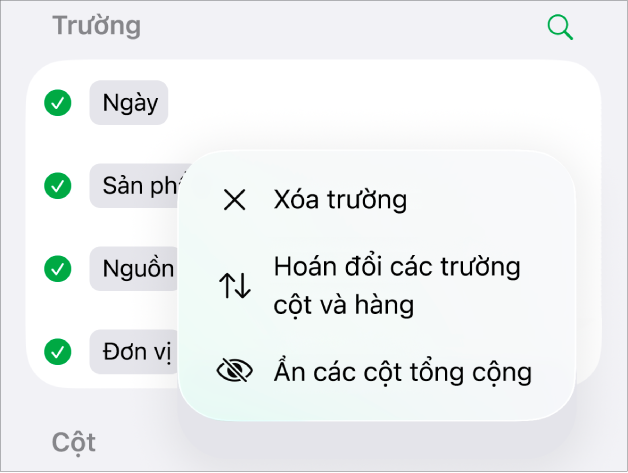 Menu Tùy chọn trường khác, đang hiển thị các điều khiển để ẩn tổng lớn, hoán đổi các trường hàng và cột và xóa các trường.