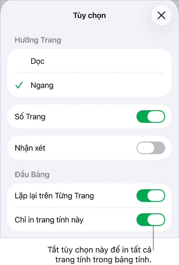 Các tùy chọn in để chọn hướng trang, hiển thị số trang và phần đầu cũng như chọn khổ giấy và trang nào cần in.