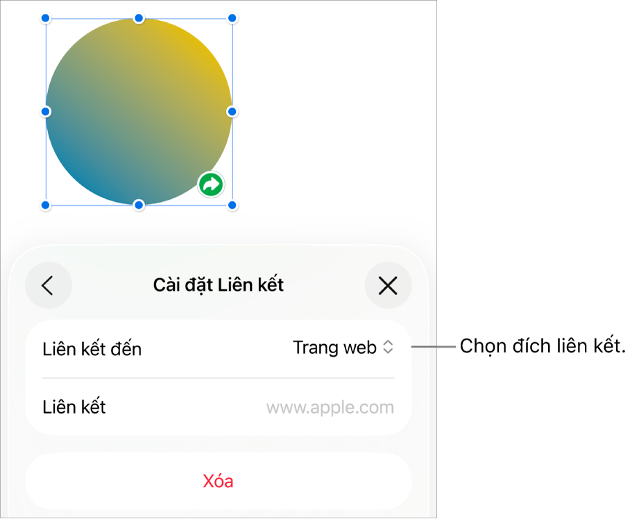 Các điều khiển Cài đặt Liên kết với Trang web được chọn và nút Xóa nằm ở cuối.