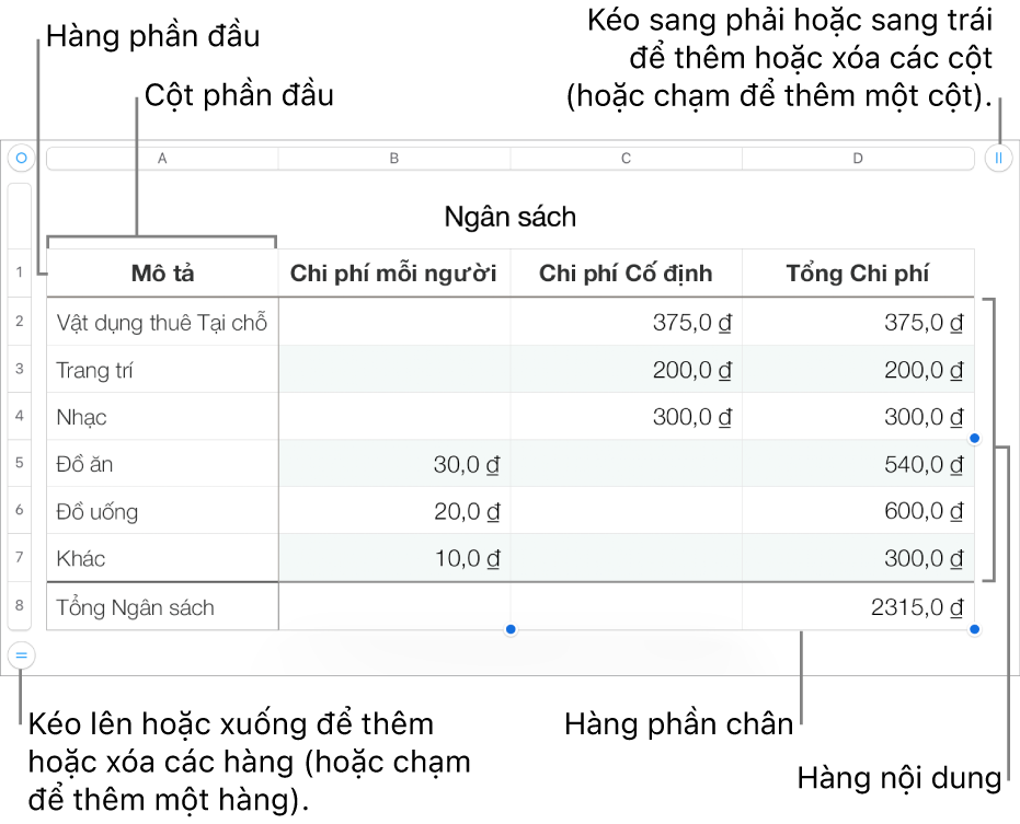 Bảng hiển thị các hàng và cột phần đầu, phần thân và phần chân cũng như các bộ điều khiển để thêm hoặc xóa các hàng hoặc cột.