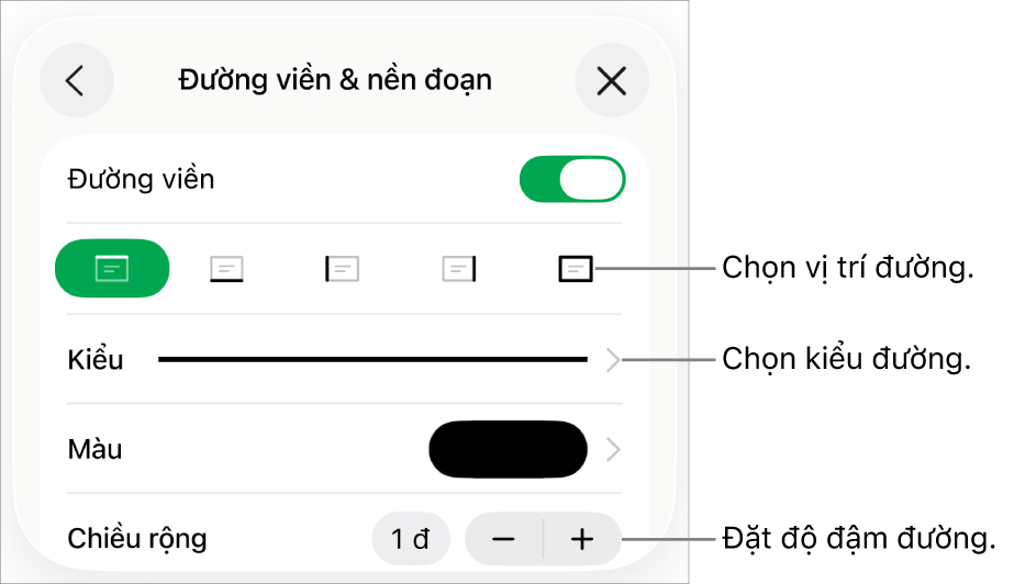 Các điều khiển để thay đổi kiểu đường, độ đậm, vị trí và màu.