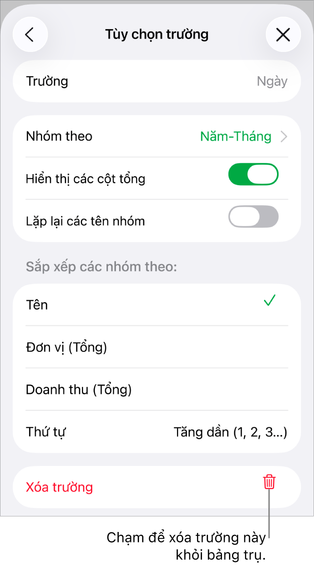 Menu Tùy chọn trường, đang hiển thị các điều khiển để nhóm và sắp xếp dữ liệu cũng như tùy chọn để xóa trường.