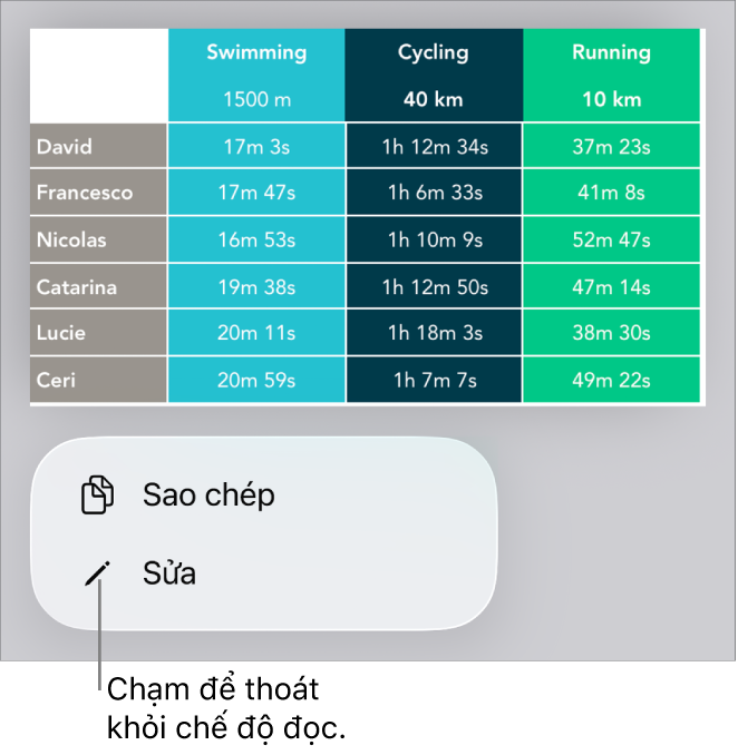 Một bảng được chọn và phía dưới bảng đó là menu với các nút Sao chép và Sửa.