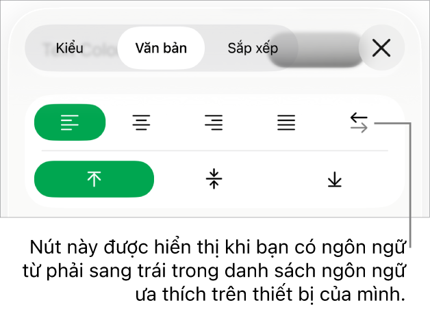 Phần Kiểu của menu Định dạng với chỉ thị đến các nút Phải sang trái.