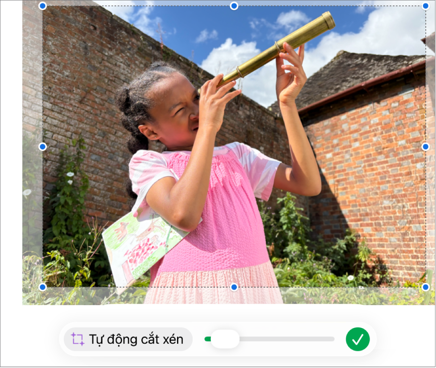 Hình ảnh hiển thị cách sử dụng mặt nạ để cắt xén ảnh.