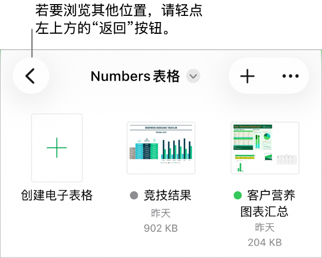 文稿管理器的浏览视图,左上角带有位置链接,其下方是搜索栏。右上角是“添加电子表格”按钮和“更多”按钮。屏幕底部是“最近使用”按钮和“浏览”按钮。